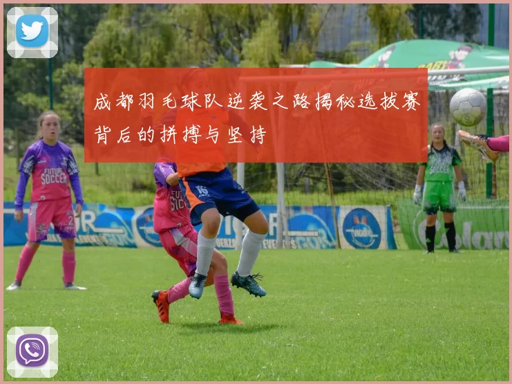 成都羽毛球队逆袭之路揭秘选拔赛背后的拼搏与坚持