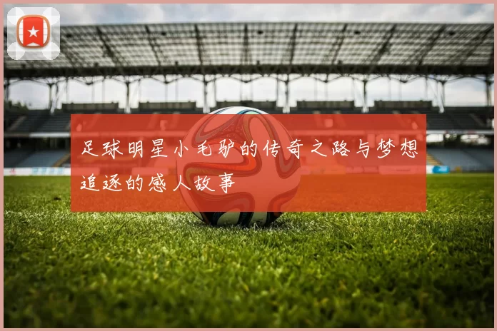 足球明星小毛驴的传奇之路与梦想追逐的感人故事